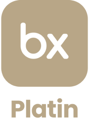bexio Platin Partner